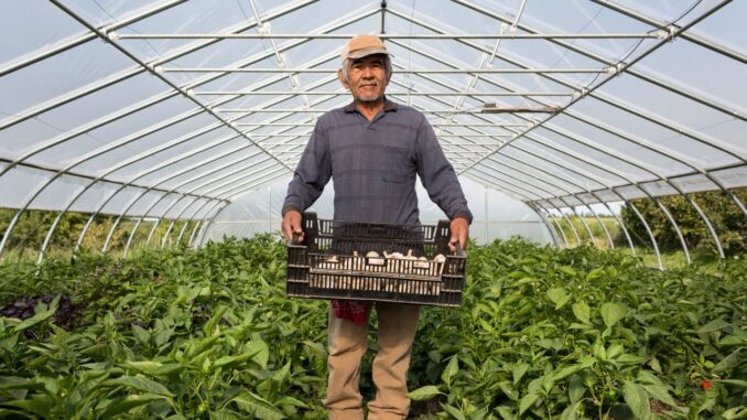 BecomeACanadian - Immigrant Farm Workers BecomeACanadian - Immigrant Farm Workers