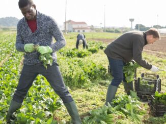 BecomeACanadian - immigrants travailleurs agricoles